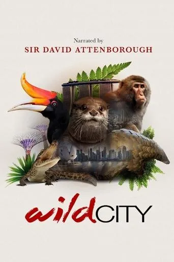 Póster de la serie Wild City