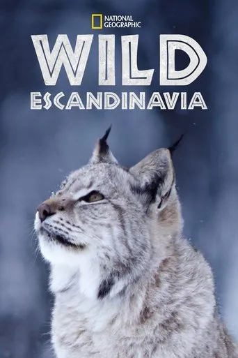 Póster de la serie Wild Nordic