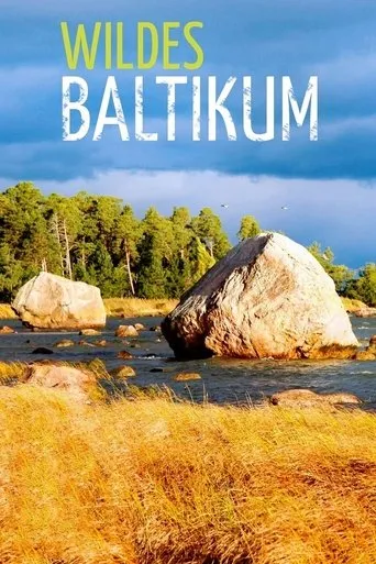 Póster de la serie Wildes Baltikum