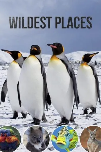 Póster de la serie Wildest Places