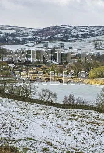 Póster de la serie Winter Walks