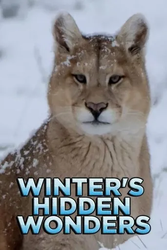 Póster de la serie Winter's Hidden Wonders