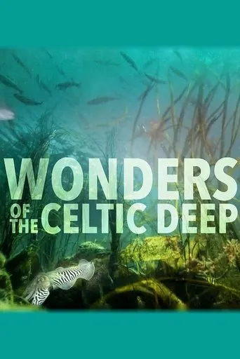 Póster de la serie Wonders of the Celtic Deep