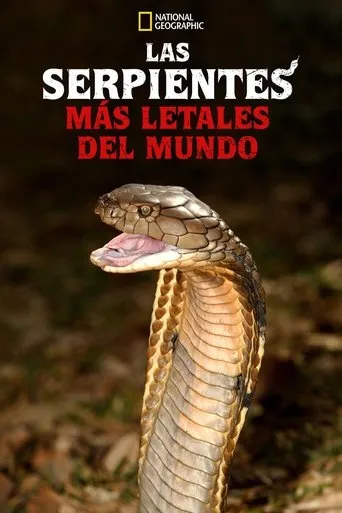 Póster de la serie World's Deadliest Snakes