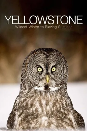Póster de la serie Yellowstone: El gran deshielo