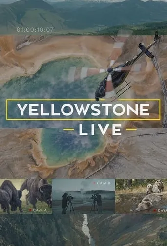 Póster de la serie Yellowstone Live