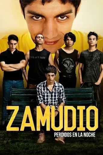 Póster de la serie Zamudio