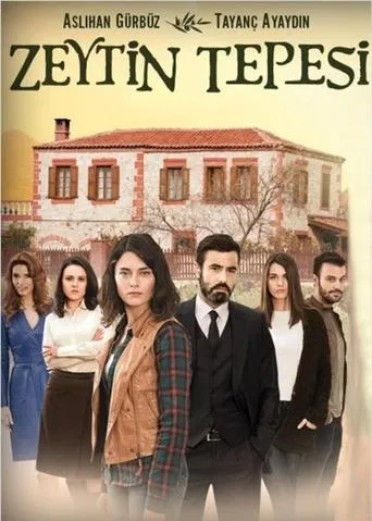 Póster de la serie Zeytin Tepesi