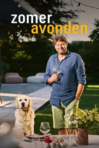 Póster de la serie Zomeravonden