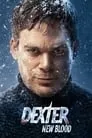 Dexter: New Blood, serie destacada