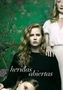 Heridas abiertas, serie destacada
