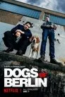 Perros de Berlín, serie destacada